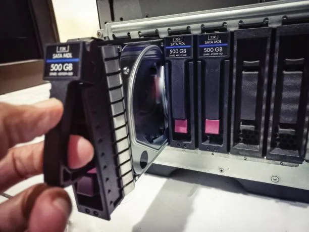 What Is RAID in Thousand Oaks, CA